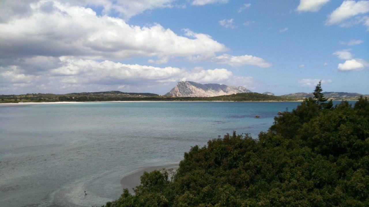 Bed and Breakfast Sole&Sale Сан-Теодоро Екстер'єр фото